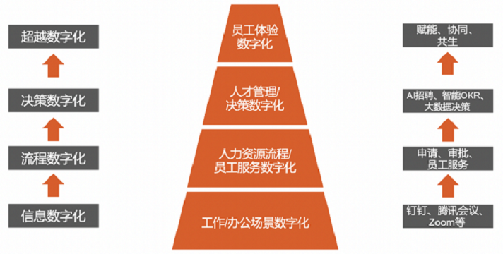 人力資源